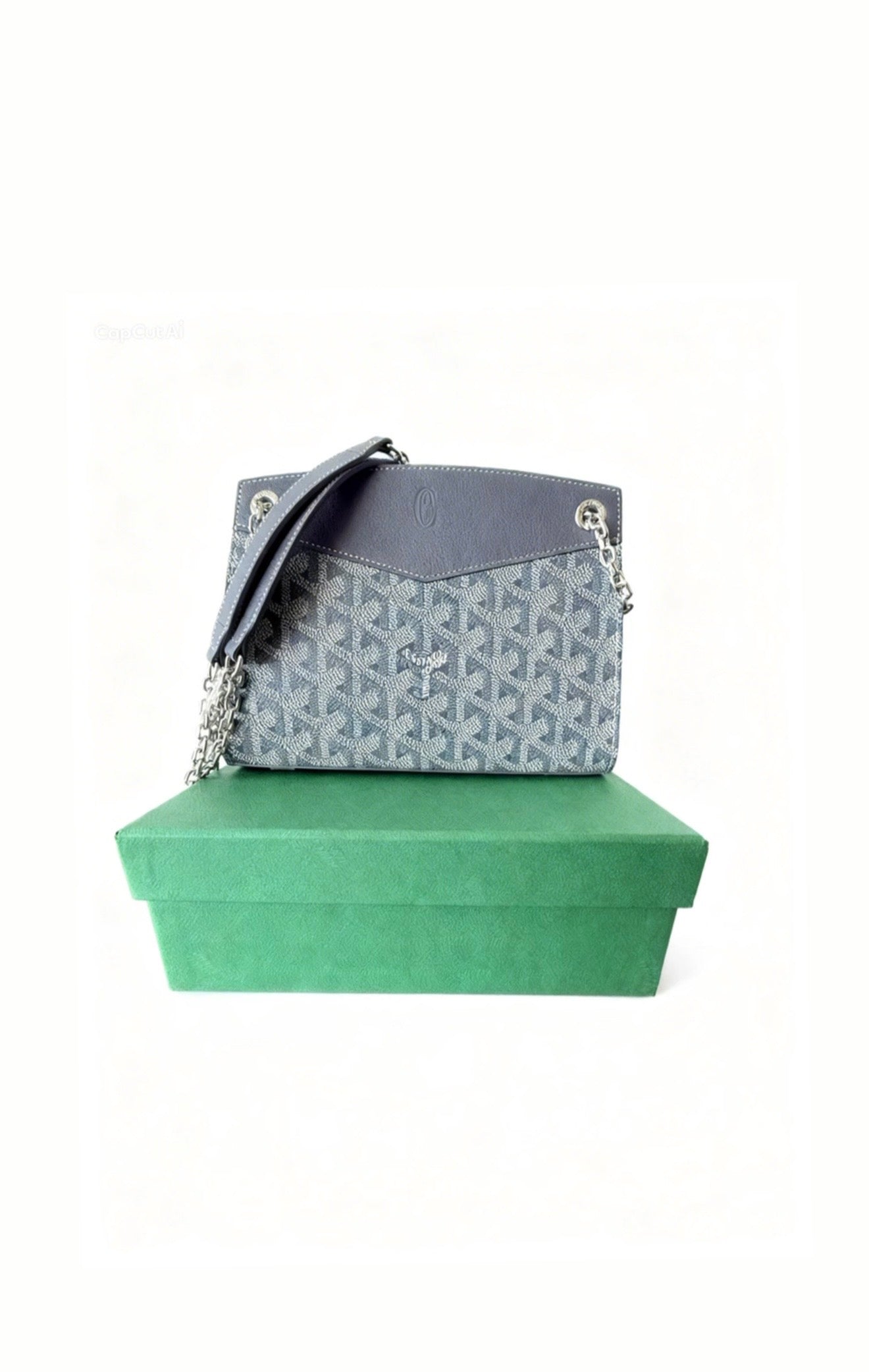 Goyard Rouette Structure Mini Bag BRAND NEW