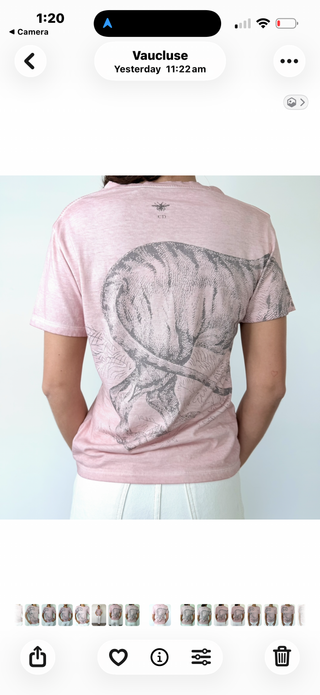 Dior Graphic Print T-Shirt
