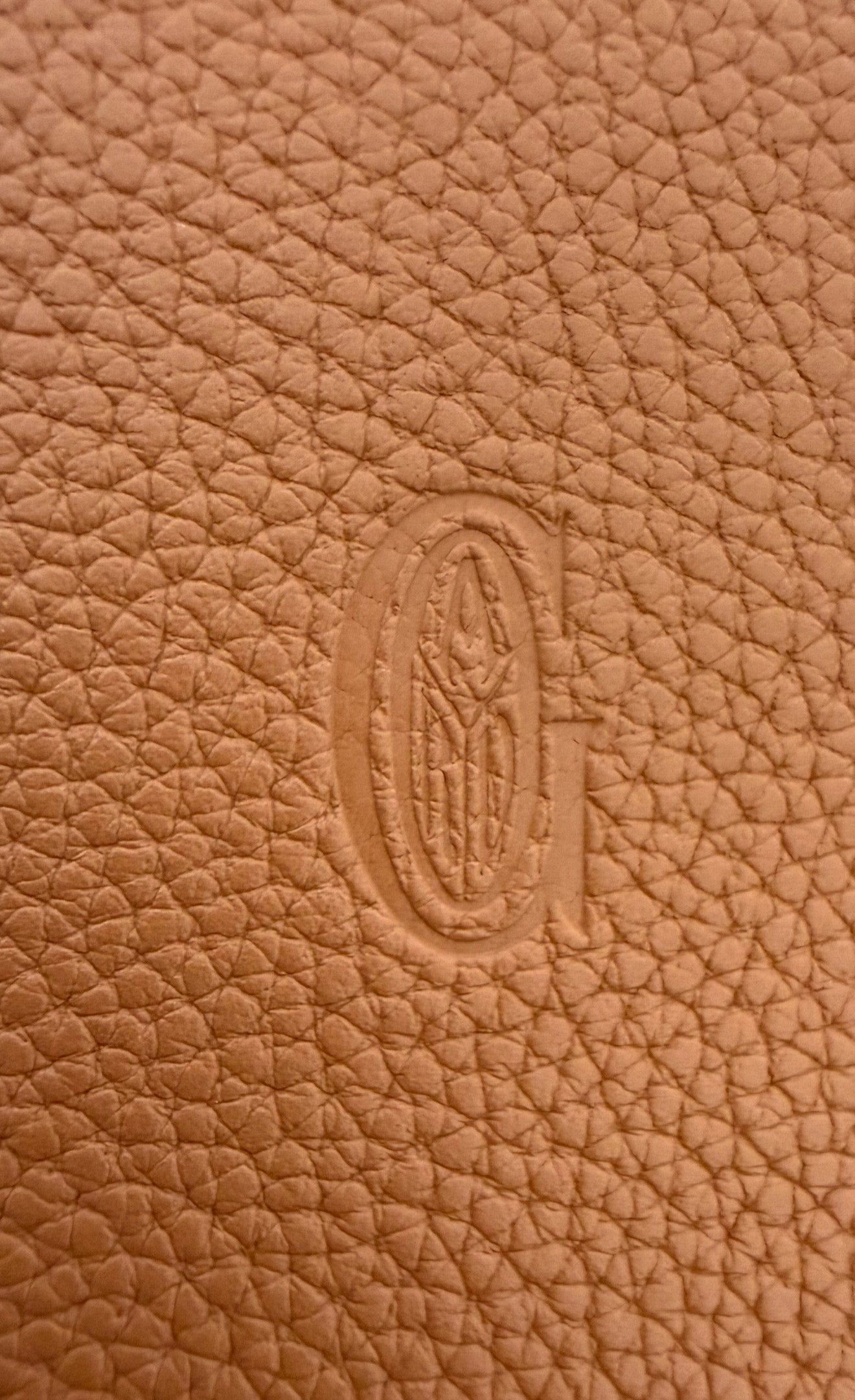 Goyard Tan Leather Saigon PM Handbag