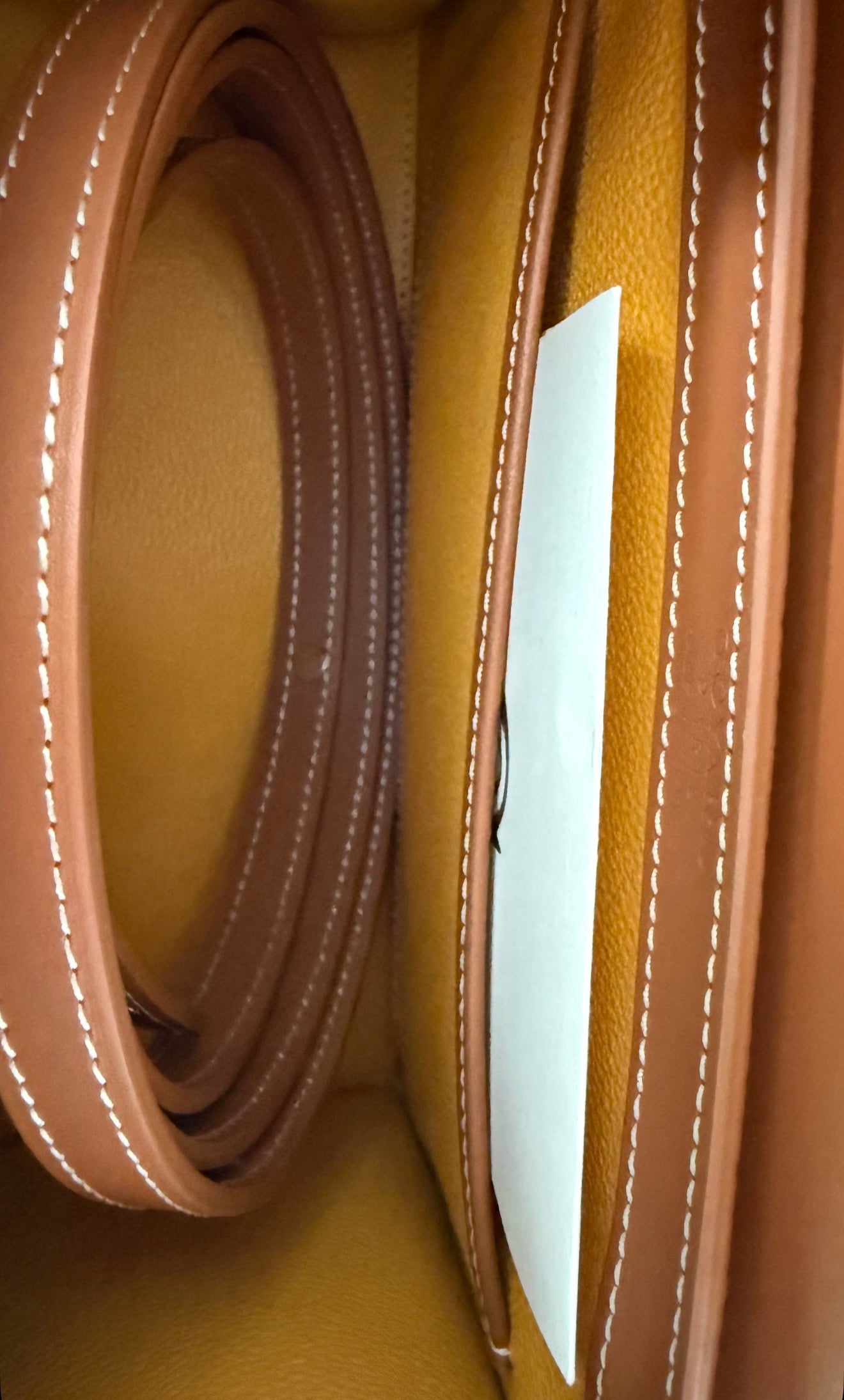 Goyard Tan Leather Saigon PM Handbag