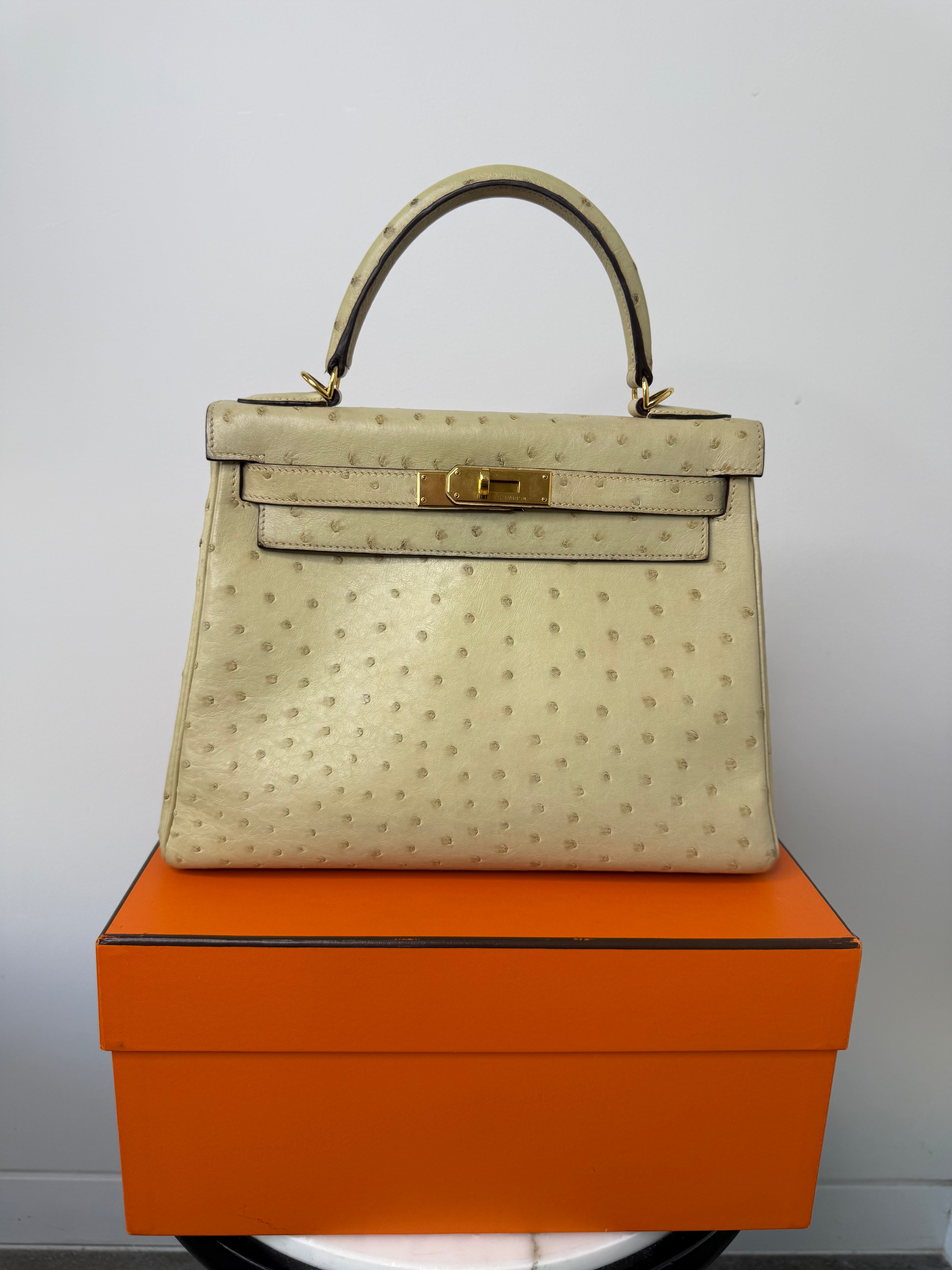 Hermes’ RARE Ostrich Parchemin Kelly 28