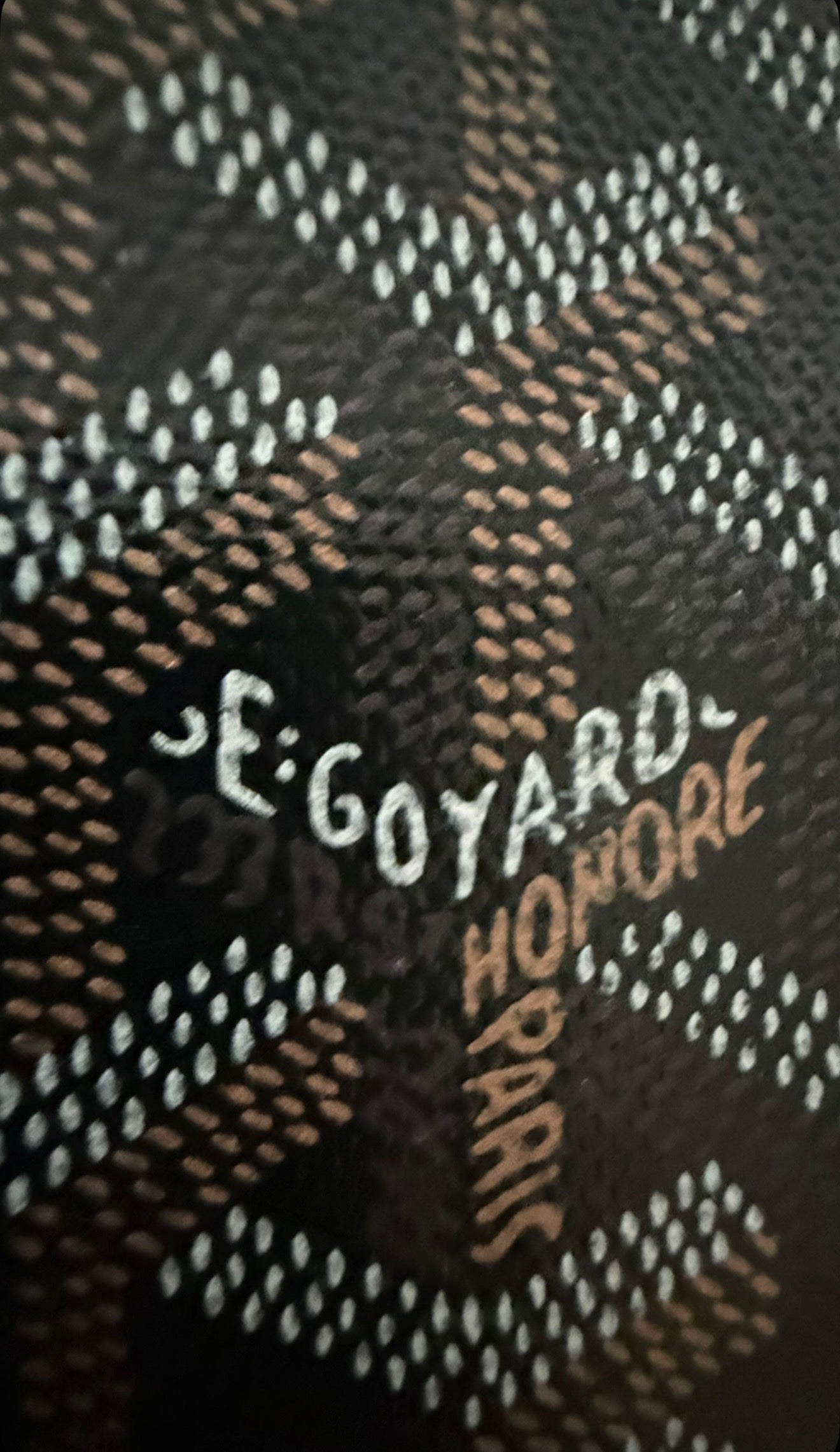 Goyard Artois PM Canvas Tote BRAND NEW
