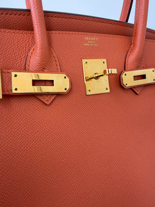 Mango Birkin 30 Togo Leather Gold Hardware