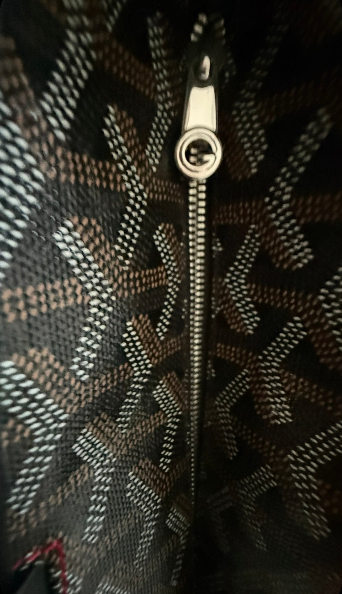 Goyard Artois PM Canvas Tote BRAND NEW