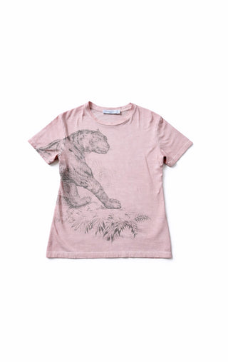 Dior Graphic Print T-Shirt